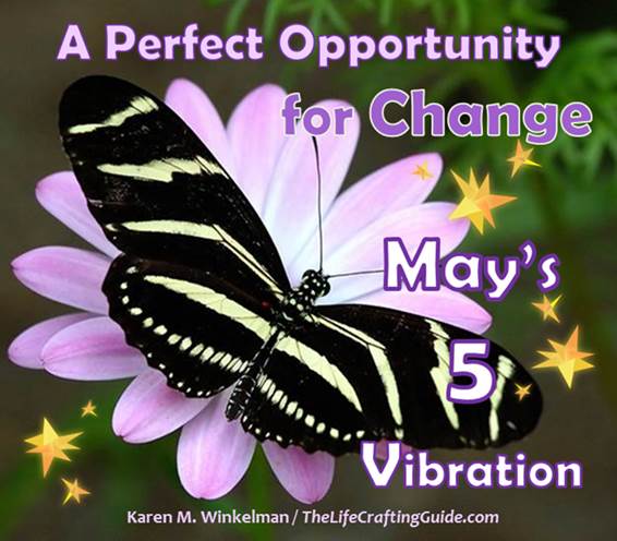 Butterfly on a flower; A perfect opportunity to change - the gift of May's 5 vibration