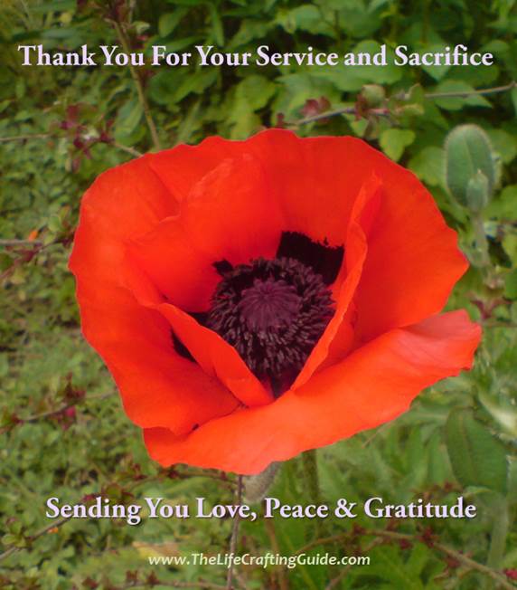 A Red Poppy with the words Thank You for your service and sacrifice